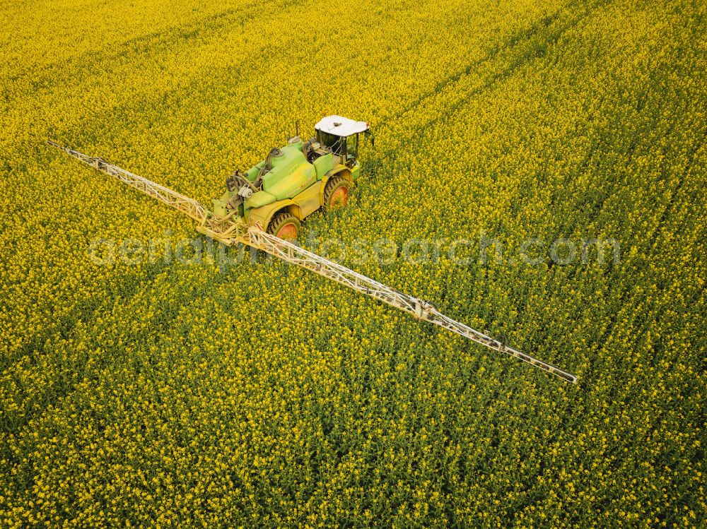 Bannewitz from above - Flowering rapeseed fields with pesticide treatment in the Eastern Ore Mountains in Bannewitz in the state of Saxony, Germany