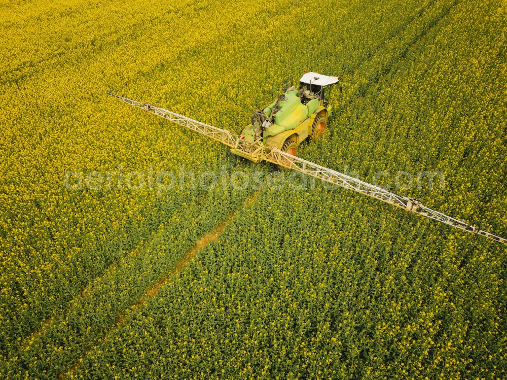 Bannewitz from the bird's eye view: Flowering rapeseed fields with pesticide treatment in the Eastern Ore Mountains in Bannewitz in the state of Saxony, Germany