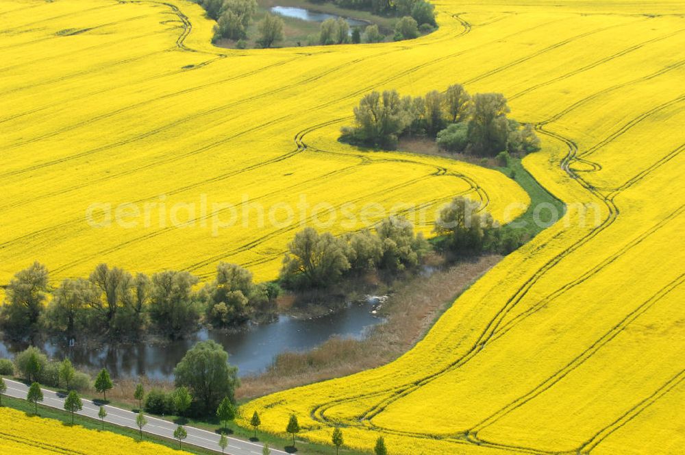 Gramzow from above - Blick auf Rapsfelder in Brandenburg.