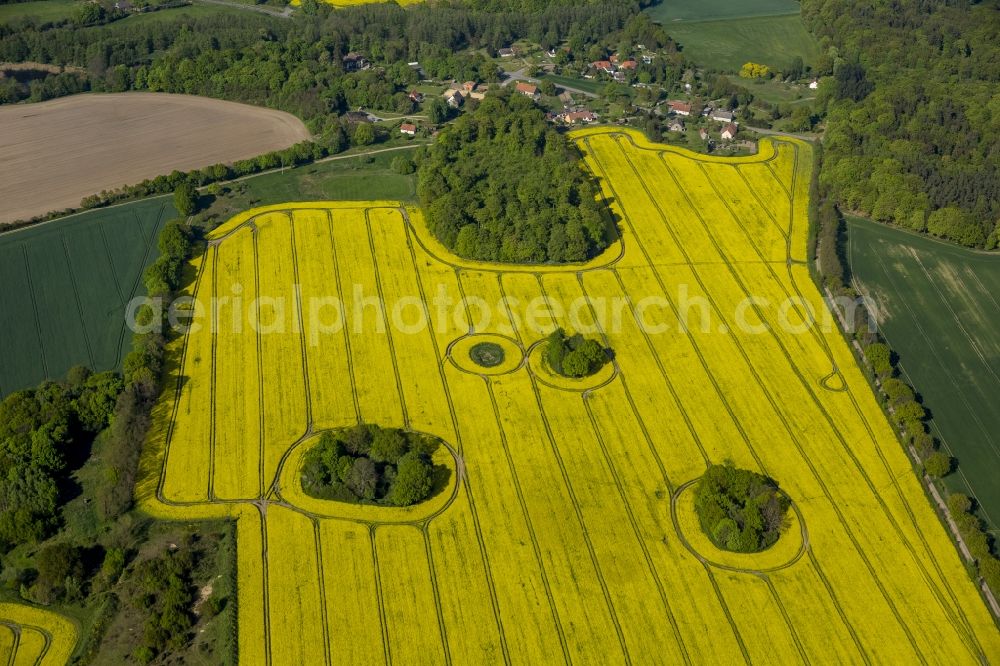 Aerial photograph Groß Pankow (Prignitz) - View of blooming canola fields near Gross Pankow ( Prignitz ) in the state Brandenburg