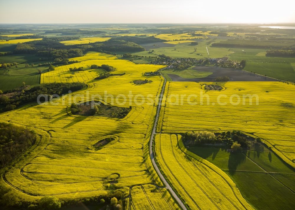 Klink from the bird's eye view: View of canola fields near Klink in the state Mecklenburg-West Pomerania