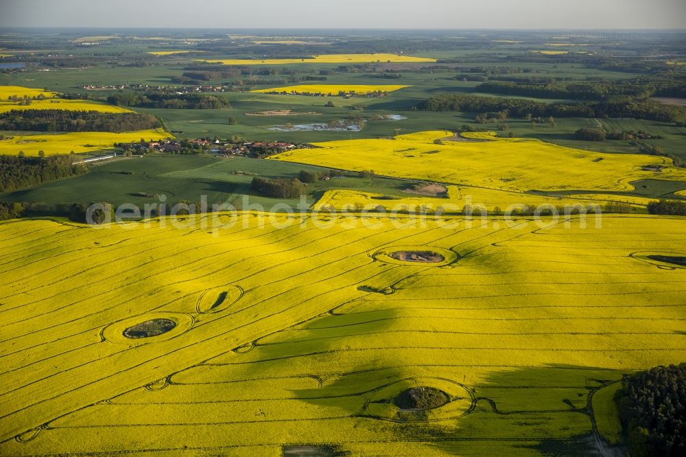 Aerial photograph Klink - View of canola fields near Klink in the state Mecklenburg-West Pomerania