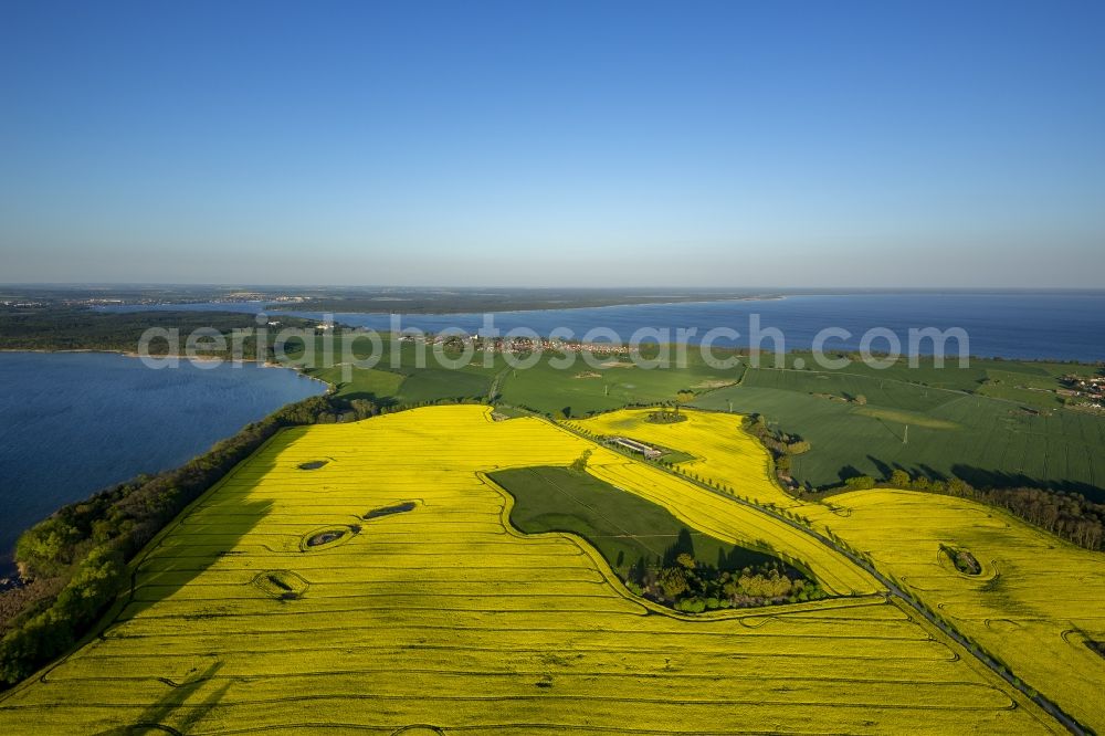 Klink from the bird's eye view: View of canola fields near Klink in the state Mecklenburg-West Pomerania