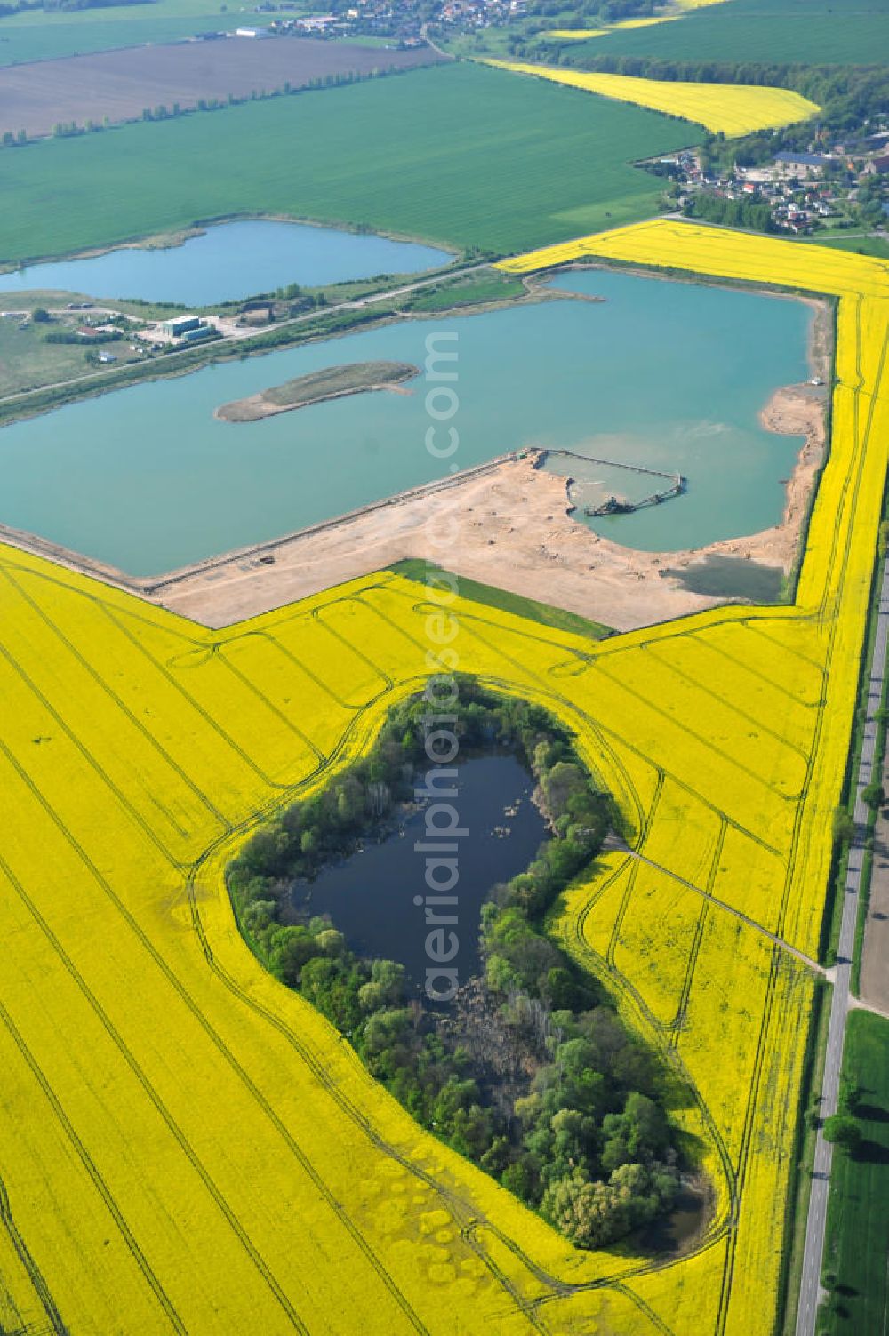 Aerial image Kloschwitz - Views of rape and canola fields in the countryside near Kloschwitz in Saxony-Anhalt