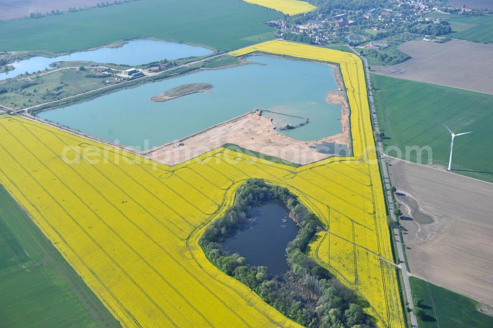 Kloschwitz from above - Views of rape and canola fields in the countryside near Kloschwitz in Saxony-Anhalt