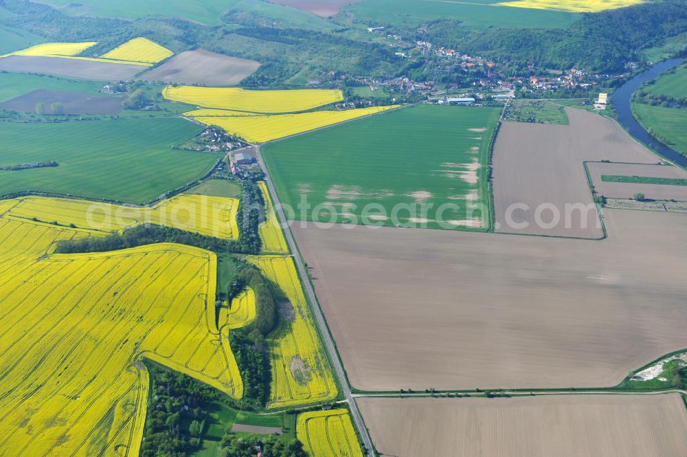 Aerial image Kloschwitz - Views of rape and canola fields in the countryside near Kloschwitz in Saxony-Anhalt