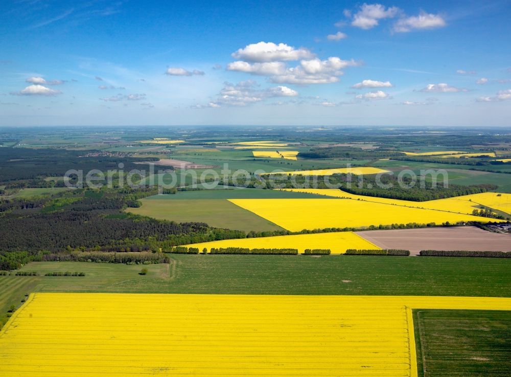 Muchow from above - Canola fields near Muchow in the county district of Ludwigslust-Pachim in the state of Mecklenburg-Vorpommern. The yellow colour of the fields gives distinction to the area and the landscape. Important for the local agriculture, the rapeseed fields are surrounded by fields and acres