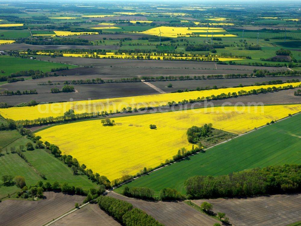 Muchow from the bird's eye view: Canola fields near Muchow in the county district of Ludwigslust-Pachim in the state of Mecklenburg-Vorpommern. The yellow colour of the fields gives distinction to the area and the landscape. Important for the local agriculture, the rapeseed fields are surrounded by fields and acres