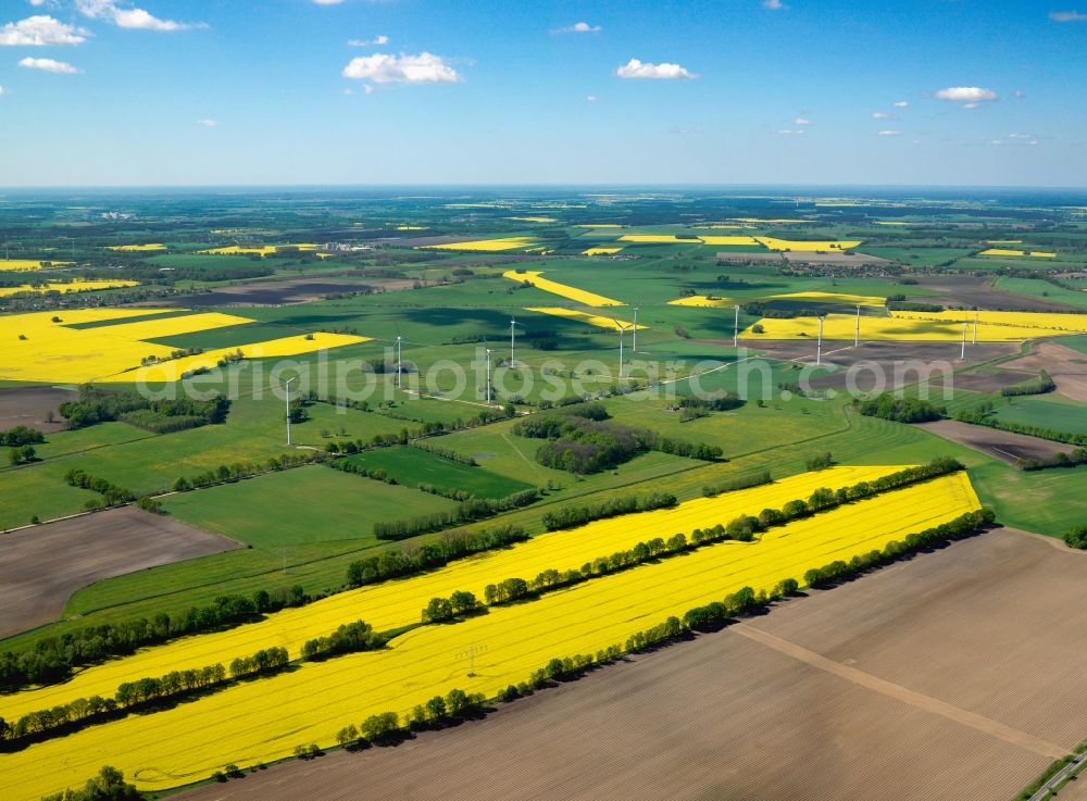 Aerial image Muchow - Canola fields near Muchow in the county district of Ludwigslust-Pachim in the state of Mecklenburg-Vorpommern. The yellow colour of the fields gives distinction to the area and the landscape. Important for the local agriculture, the rapeseed fields are surrounded by fields and acres