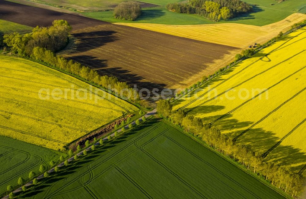 Aerial photograph Groß Roge - Different colored colona fields with road in Gross Roge in the state of Mecklenburg-Western Pomerania