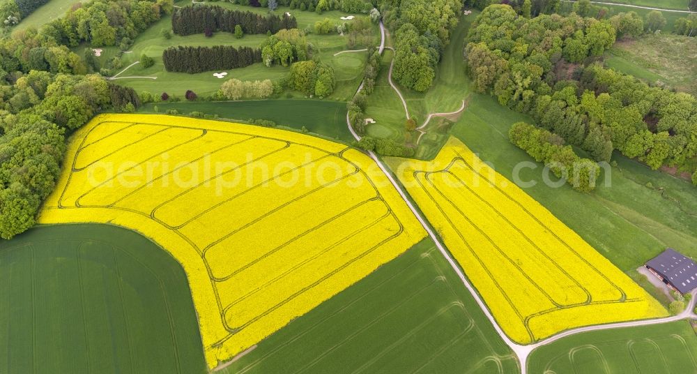 Laupendahl from above - Landscape with blooming rape fields belonging to a farm near Laupendahl in North Rhine-Westphalia