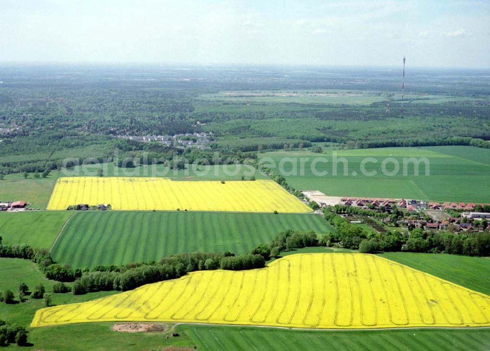 Schildow / Brandenburg from above - Rapsfelder nordöstlich von Schildow / Brandenburg