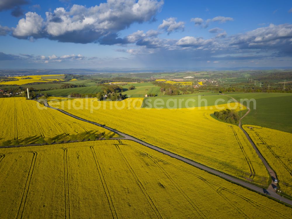 Aerial image Rabenau - Flowering rapeseed fields on the Old Salt Road to Quohren, in Rabenau in the state of Saxony, Germany