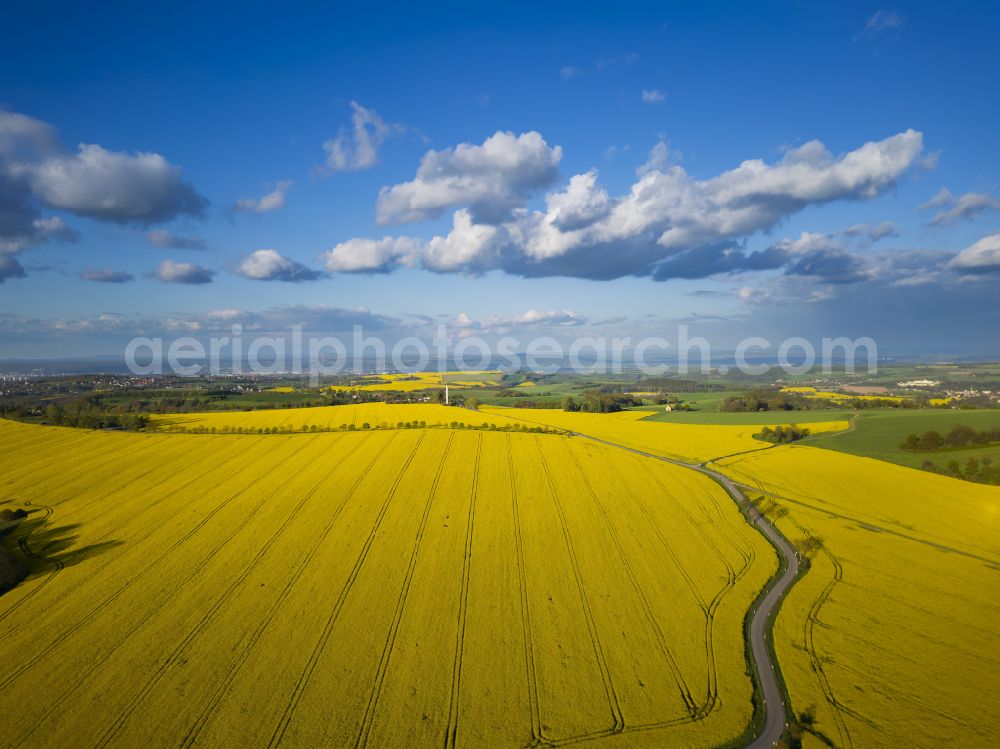 Aerial photograph Rabenau - Flowering rapeseed fields on the Old Salt Road to Quohren, in Rabenau in the state of Saxony, Germany