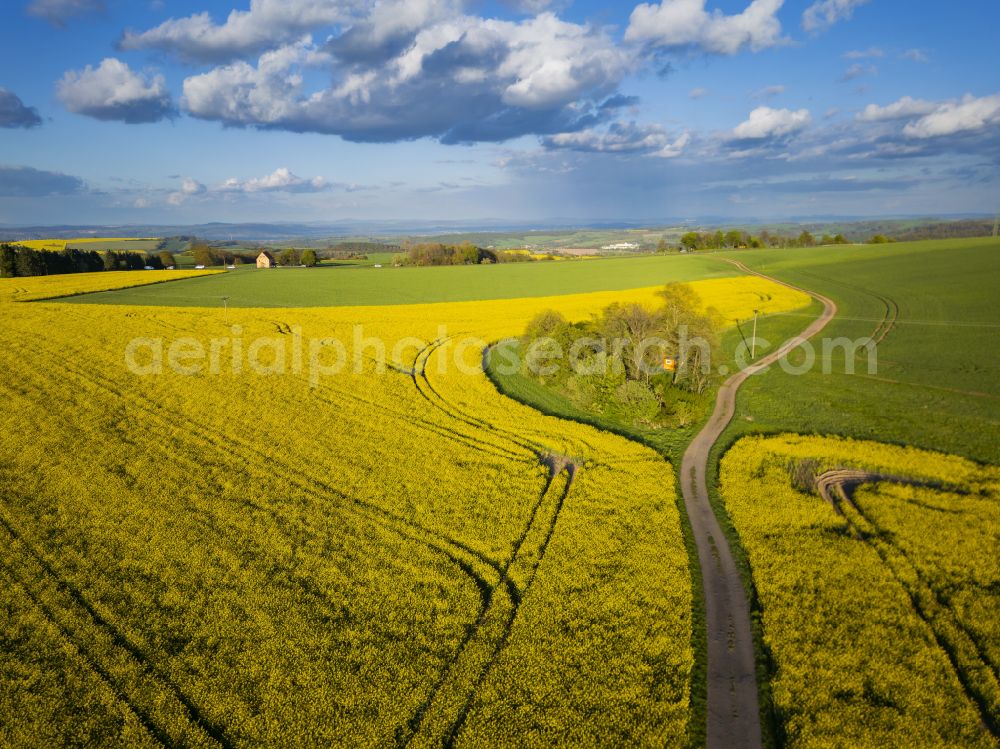 Rabenau from above - Flowering rapeseed fields on the Old Salt Road to Quohren, in Rabenau in the state of Saxony, Germany