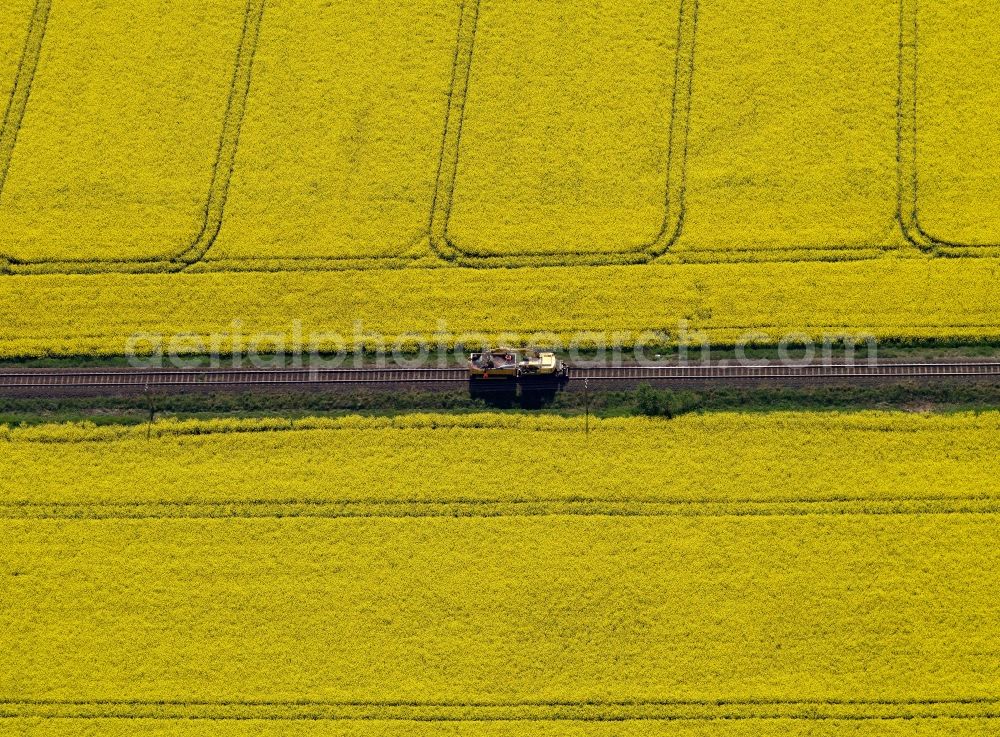 Burg (bei Magdeburg) from above - Canola fields and engineering train in Burg in the state of Saxony-Anhalt. The train moves along railroad tracks between the characteristic and yellow rapeseed fields