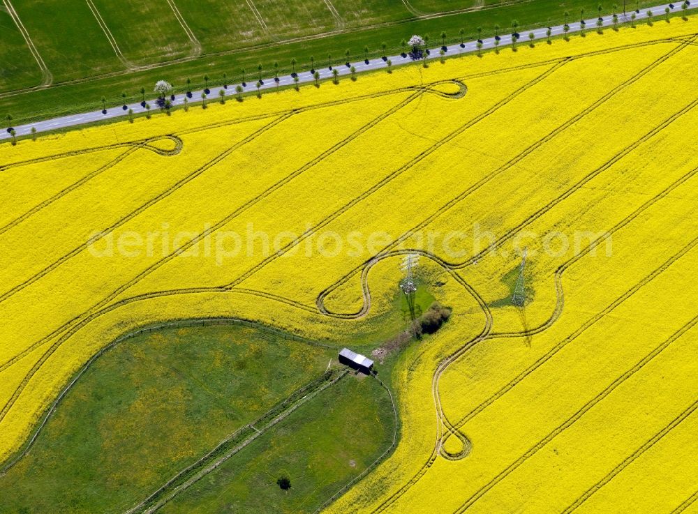 Aerial image Wittenförden - View of rape field structures near Wittenfoerden in the state Mecklenburg-West Pomerania