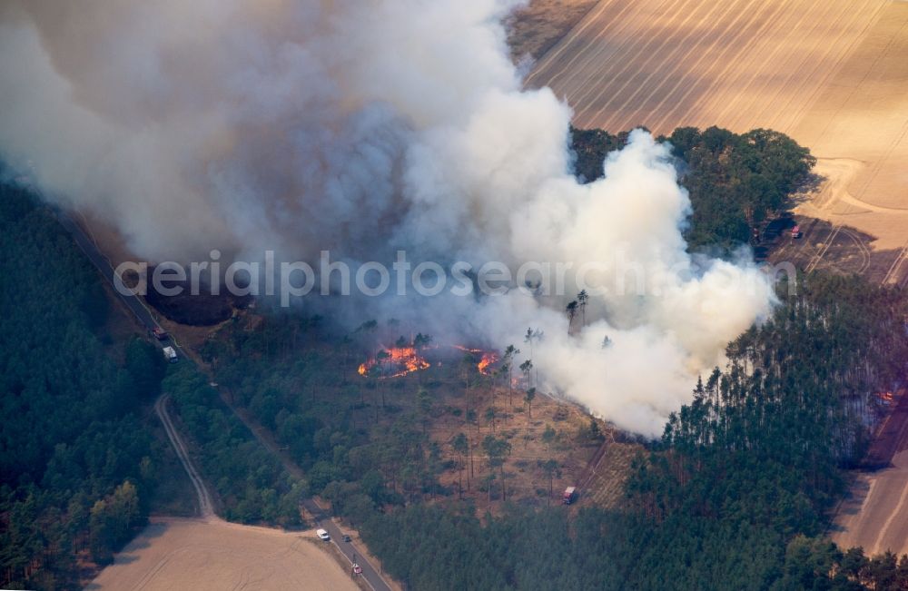 Aerial image Bad Liebenwerda - Smoke clouds by the Great Fire - destroyed forest fire tree population in a wooded area - forest terrain in Bad Liebenwerda in the state Brandenburg, Germany