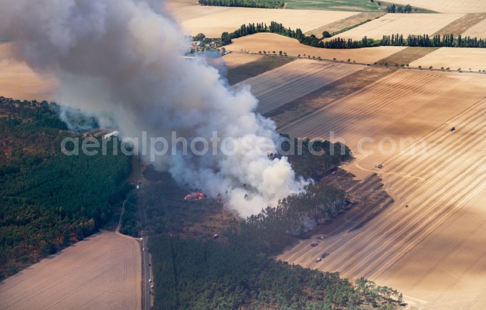 Bad Liebenwerda from the bird's eye view: Smoke clouds by the Great Fire - destroyed forest fire tree population in a wooded area - forest terrain in Bad Liebenwerda in the state Brandenburg, Germany