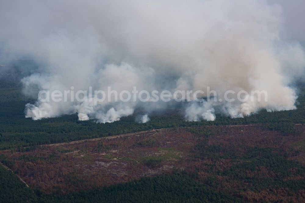 Aerial photograph Bardenitz - Smoke clouds by the Great Fire - destroyed forest fire tree population in a wooded area - forest terrain in Bardenitz in Treuenbrietzen in the state Brandenburg, Germany