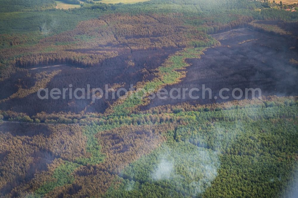 Aerial image Treuenbrietzen - Smoke clouds by the Great Fire - destroyed forest fire tree population in a wooded area - forest terrain in Klausdorf in Treuenbrietzen in the state Brandenburg, Germany