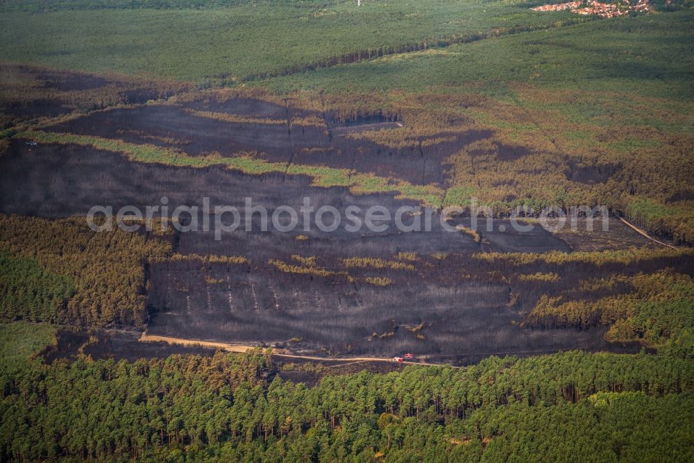 Treuenbrietzen from above - Smoke clouds by the Great Fire - destroyed forest fire tree population in a wooded area - forest terrain in Klausdorf in Treuenbrietzen in the state Brandenburg, Germany