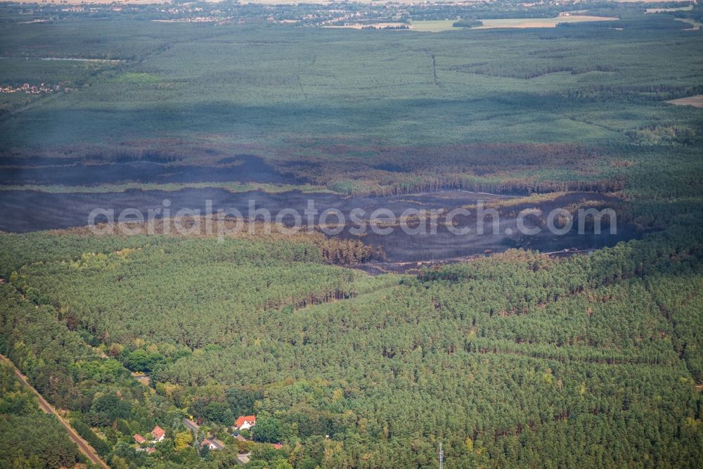 Treuenbrietzen from the bird's eye view: Smoke clouds by the Great Fire - destroyed forest fire tree population in a wooded area - forest terrain in Klausdorf in Treuenbrietzen in the state Brandenburg, Germany