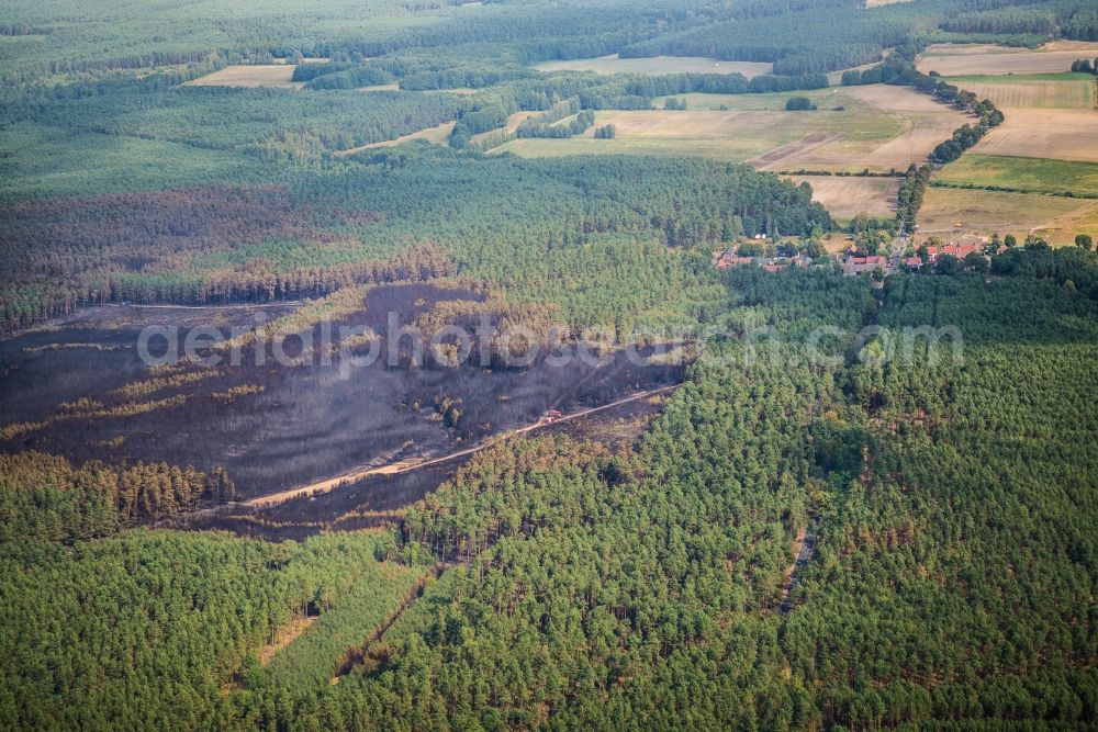 Aerial image Treuenbrietzen - Smoke clouds by the Great Fire - destroyed forest fire tree population in a wooded area - forest terrain in Klausdorf in Treuenbrietzen in the state Brandenburg, Germany