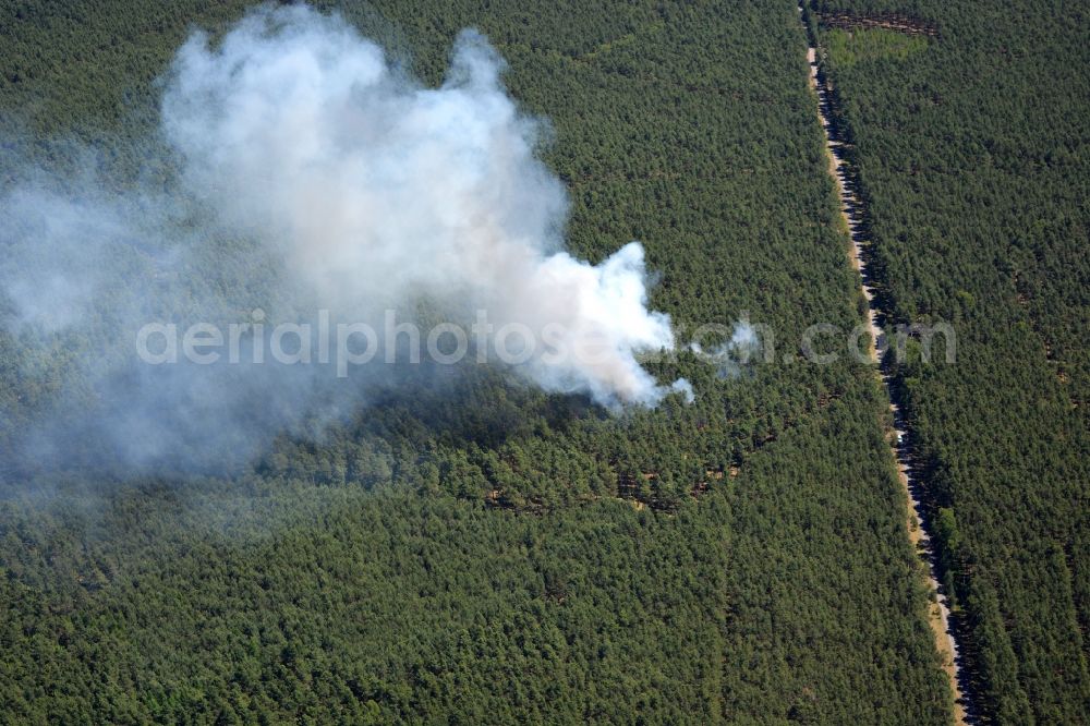 Aerial photograph Halbe - Smoke clouds by the Great Fire - destroyed forest fire tree population in a wooded area - forest terrain in Halbe in the state Brandenburg