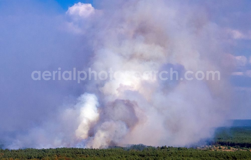 Lübtheen from above - Smoke clouds by the Great Fire - destroyed forest fire tree population in a wooded area - forest terrain in the district Broemsenberg in Luebtheen in the state Mecklenburg - Western Pomerania, Germany