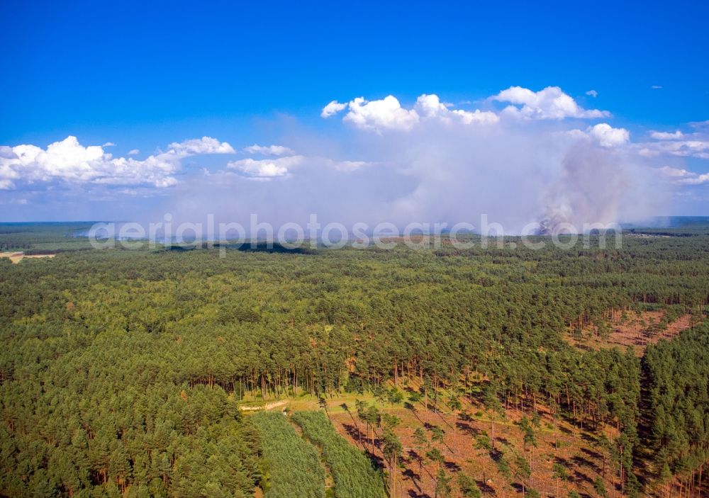 Lübtheen from the bird's eye view: Smoke clouds by the Great Fire - destroyed forest fire tree population in a wooded area - forest terrain in the district Broemsenberg in Luebtheen in the state Mecklenburg - Western Pomerania, Germany