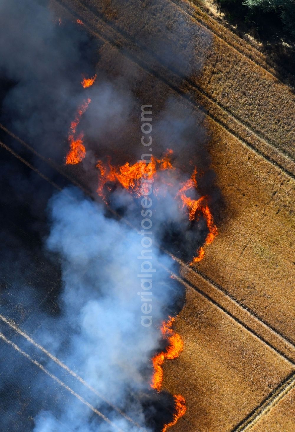 Aerial photograph Angersdorf - Smoke clouds of a fire in a cornfield in Angersdorf in the state Saxony-Anhalt, Germany