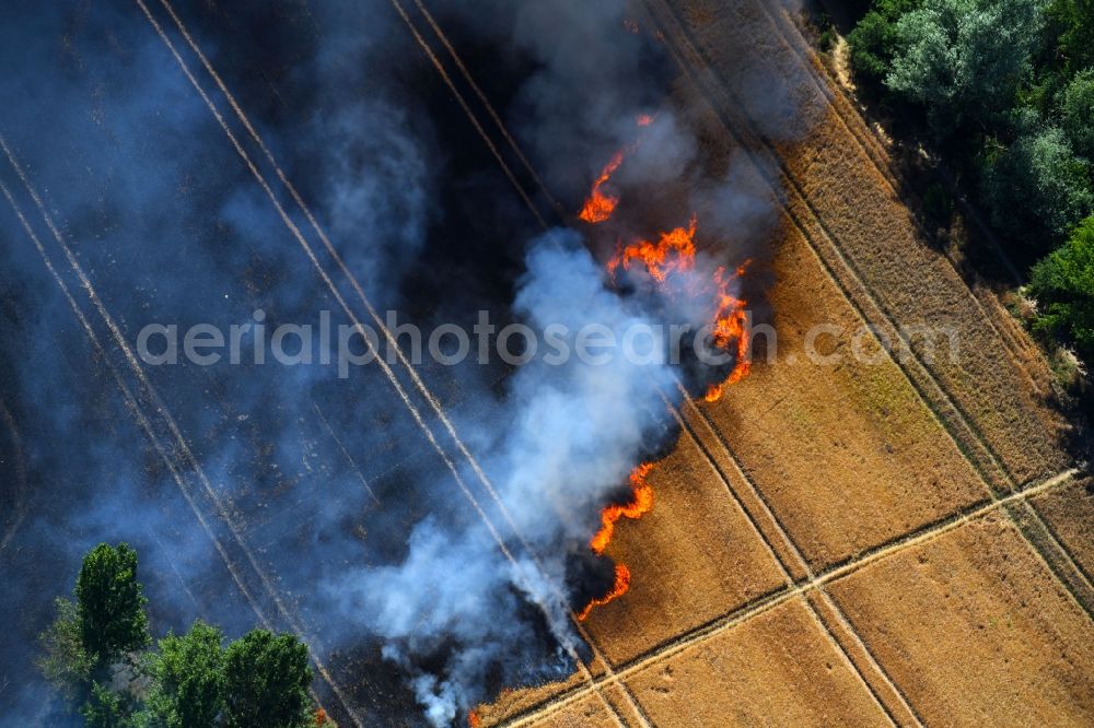 Angersdorf from above - Smoke clouds of a fire in a cornfield in Angersdorf in the state Saxony-Anhalt, Germany