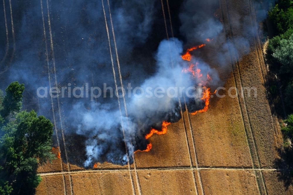 Angersdorf from the bird's eye view: Smoke clouds of a fire in a cornfield in Angersdorf in the state Saxony-Anhalt, Germany