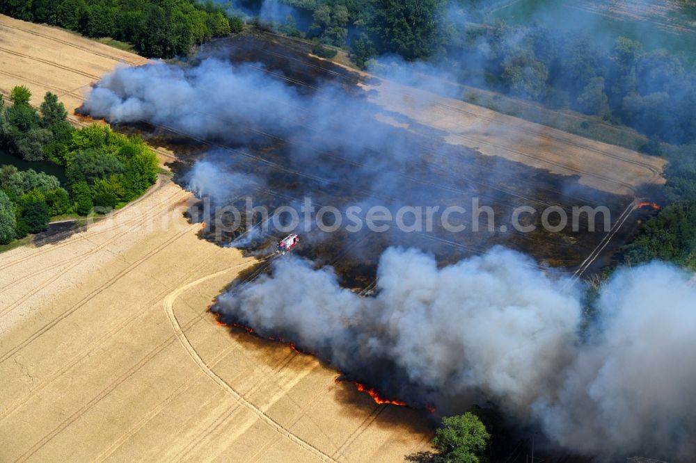 Aerial photograph Angersdorf - Smoke clouds of a fire in a cornfield in Angersdorf in the state Saxony-Anhalt, Germany