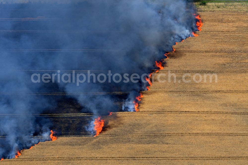 Schwanebeck from above - Smoke clouds of a fire in a cornfield in Schwanebeck in the state Brandenburg, Germany