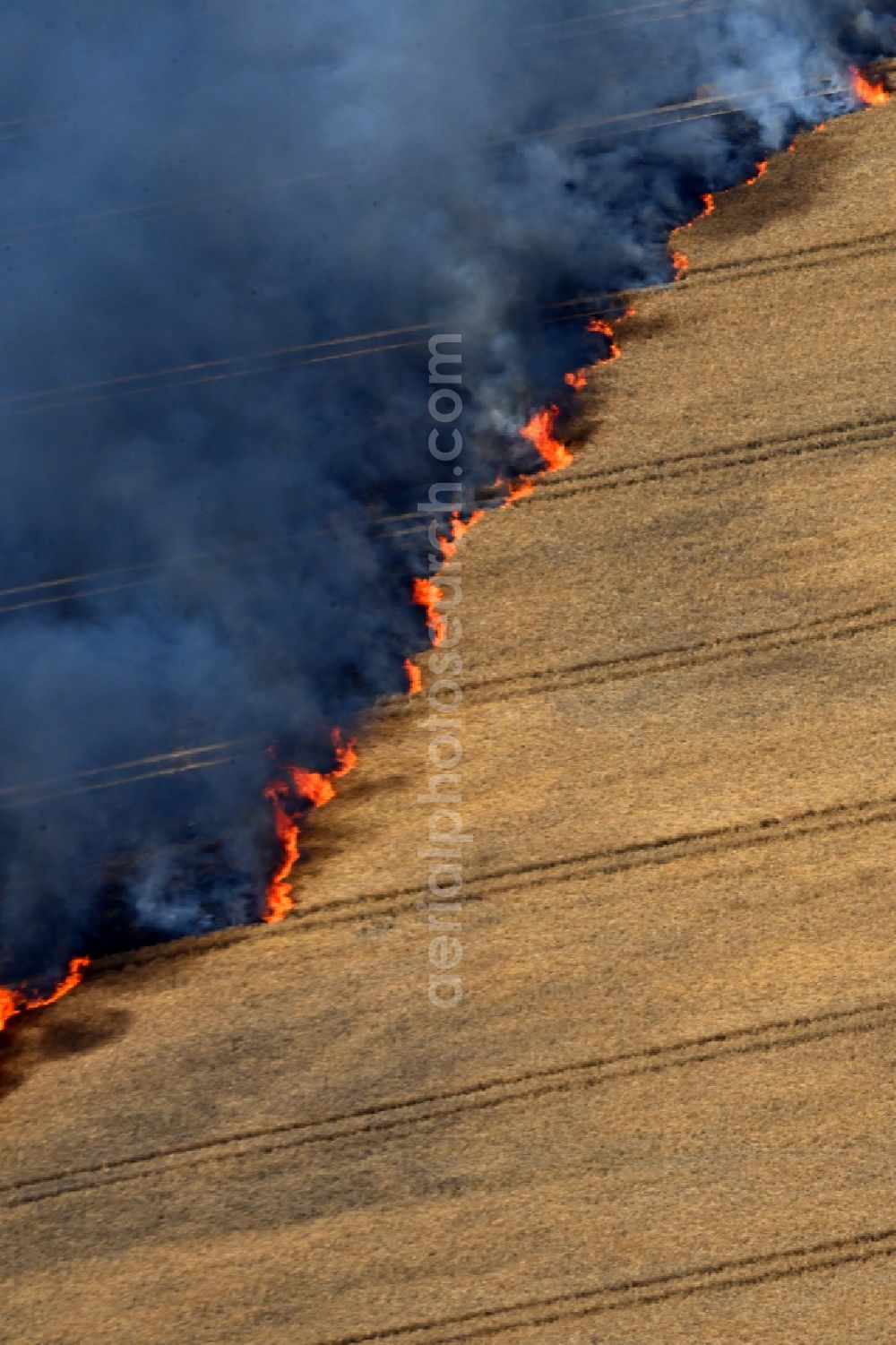 Aerial image Schwanebeck - Smoke clouds of a fire in a cornfield in Schwanebeck in the state Brandenburg, Germany