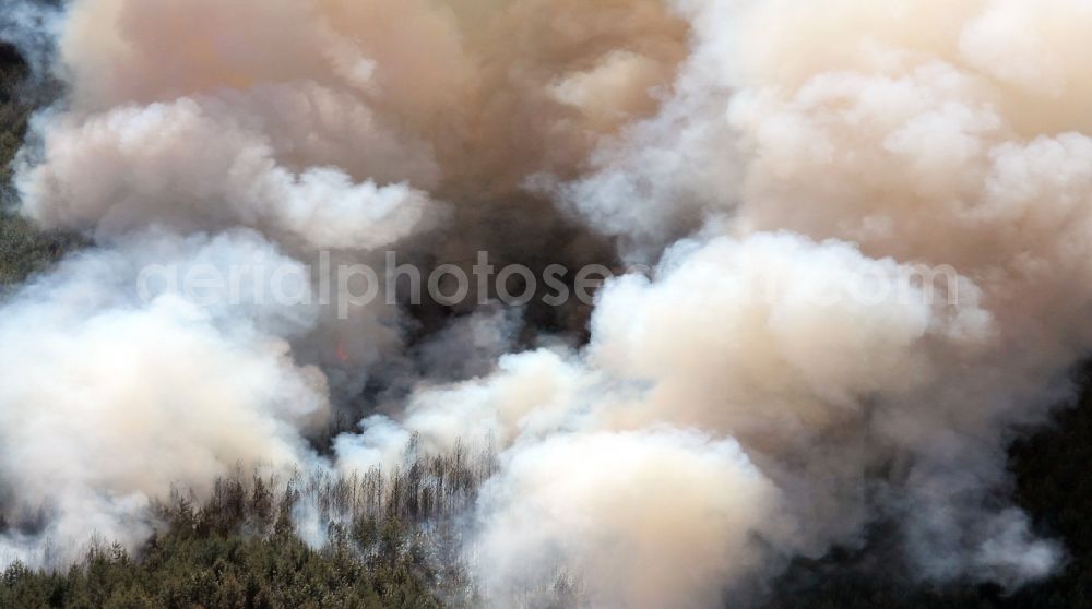 Kyritz from the bird's eye view: Damage by the Great Fire - destroyed forest fire tree population in a wooded area - forest terrain in Kyritz in the state Brandenburg