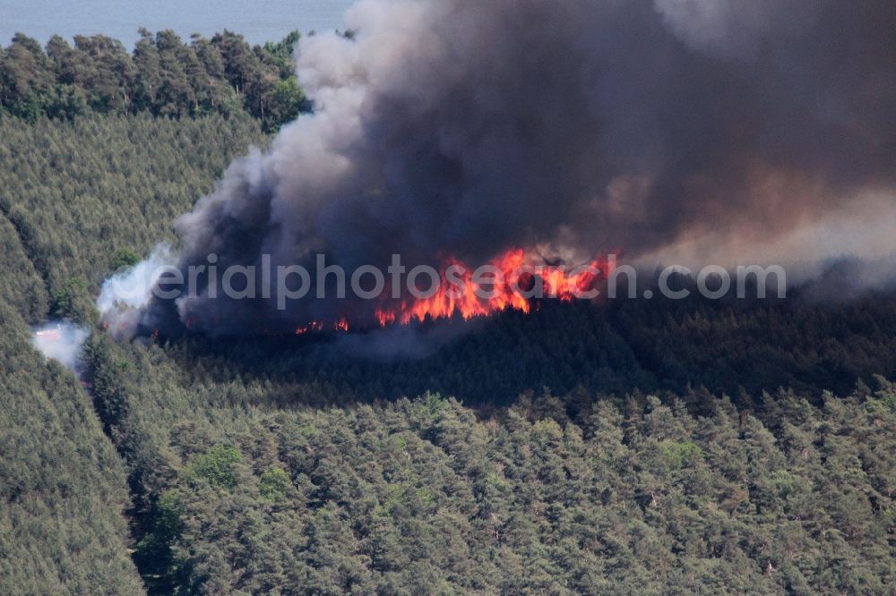 Kyritz from the bird's eye view: Damage by the Great Fire - destroyed forest fire tree population in a wooded area - forest terrain in Kyritz in the state Brandenburg