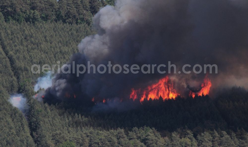 Aerial image Kyritz - Damage by the Great Fire - destroyed forest fire tree population in a wooded area - forest terrain in Kyritz in the state Brandenburg