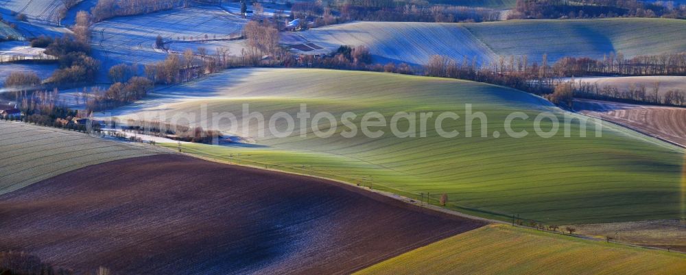 Paltzschen from the bird's eye view: Structures on agricultural fields in Paltzschen in the state Saxony, Germany