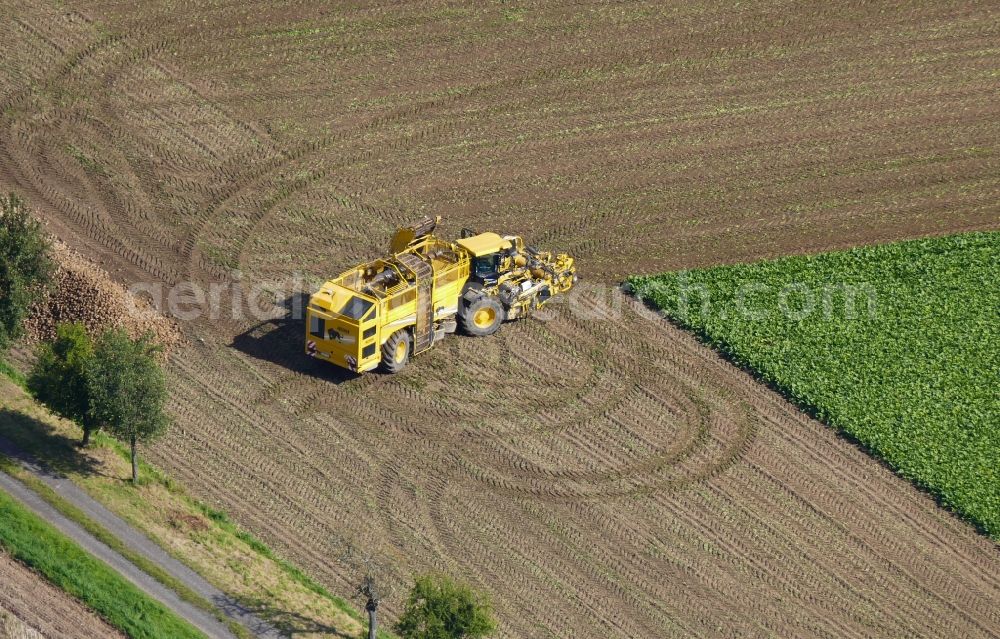 Aerial image Rosdorf - Beet harvesting on agricultural field rows in Rosdorf in the state Lower Saxony, Germany