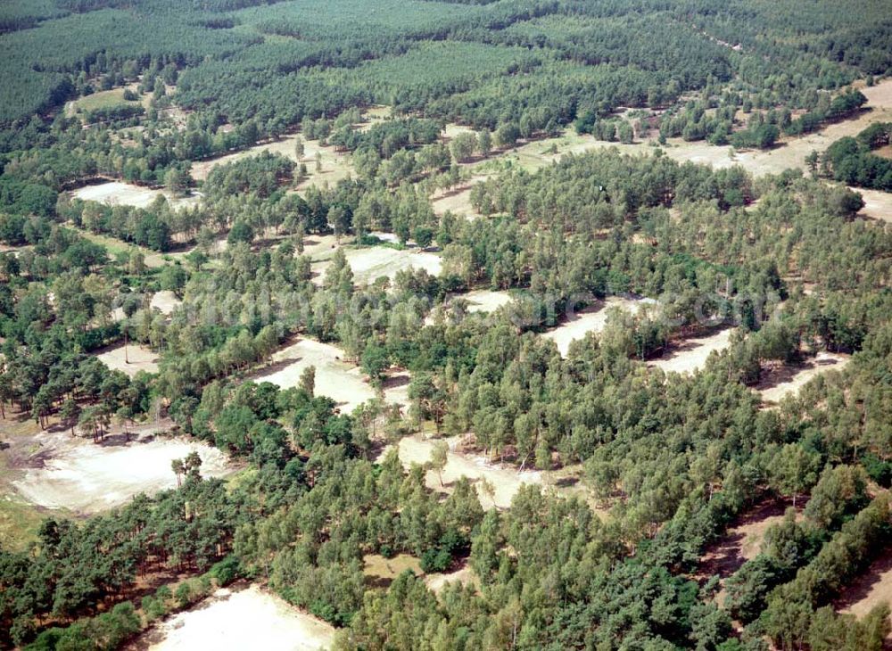 Drachhausen / Brandenburg from above - Re- naturiertes, ehemaliges Kasernengelände bei Drachhausen in Brandenburg. Renaturierungsfläche der Brandenburgischen Boden GmbH.