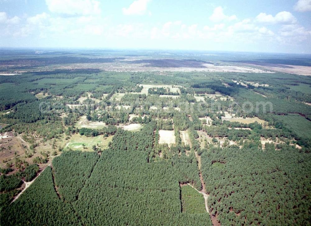 Drachhausen / Brandenburg from the bird's eye view: Re- naturiertes, ehemaliges Kasernengelände bei Drachhausen in Brandenburg. Renaturierungsfläche der Brandenburgischen Boden GmbH.