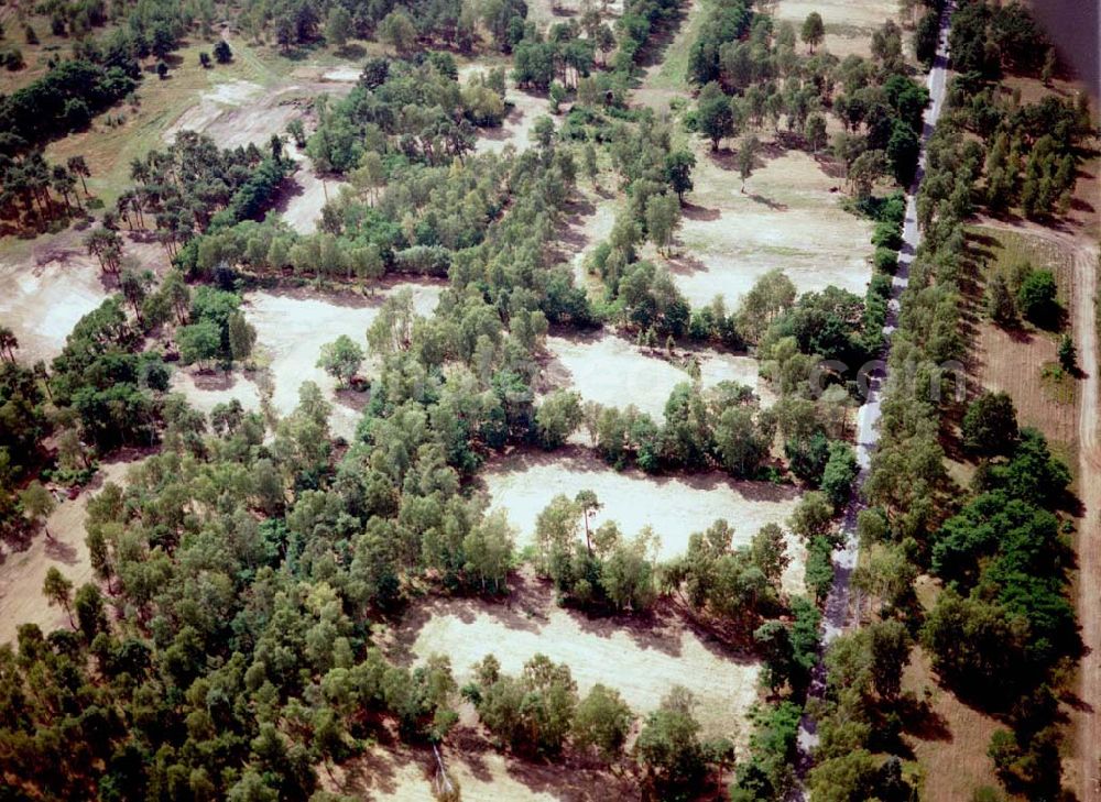 Drachhausen / Brandenburg from the bird's eye view: Re- naturiertes, ehemaliges Kasernengelände bei Drachhausen in Brandenburg. Renaturierungsfläche der Brandenburgischen Boden GmbH.