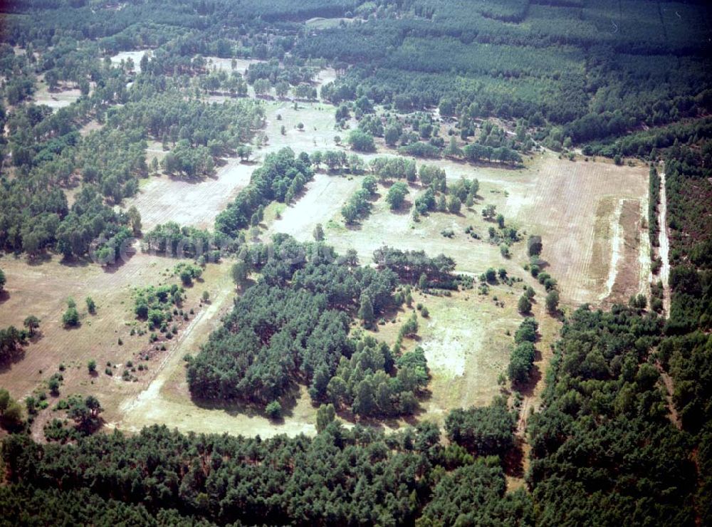 Drachhausen / Brandenburg from the bird's eye view: Re- naturiertes, ehemaliges Kasernengelände bei Drachhausen in Brandenburg. Renaturierungsfläche der Brandenburgischen Boden GmbH.