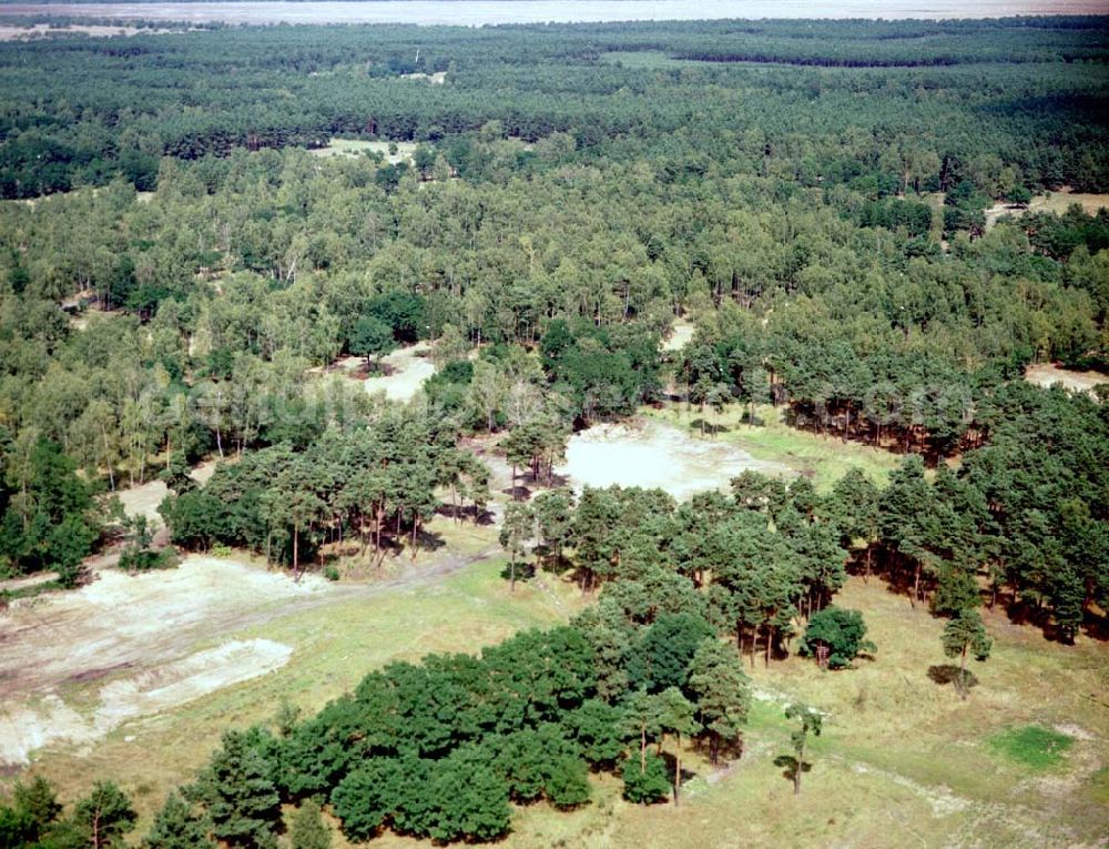 Aerial image Drachhausen / Brandenburg - Re- naturiertes, ehemaliges Kasernengelände bei Drachhausen in Brandenburg. Renaturierungsfläche der Brandenburgischen Boden GmbH.