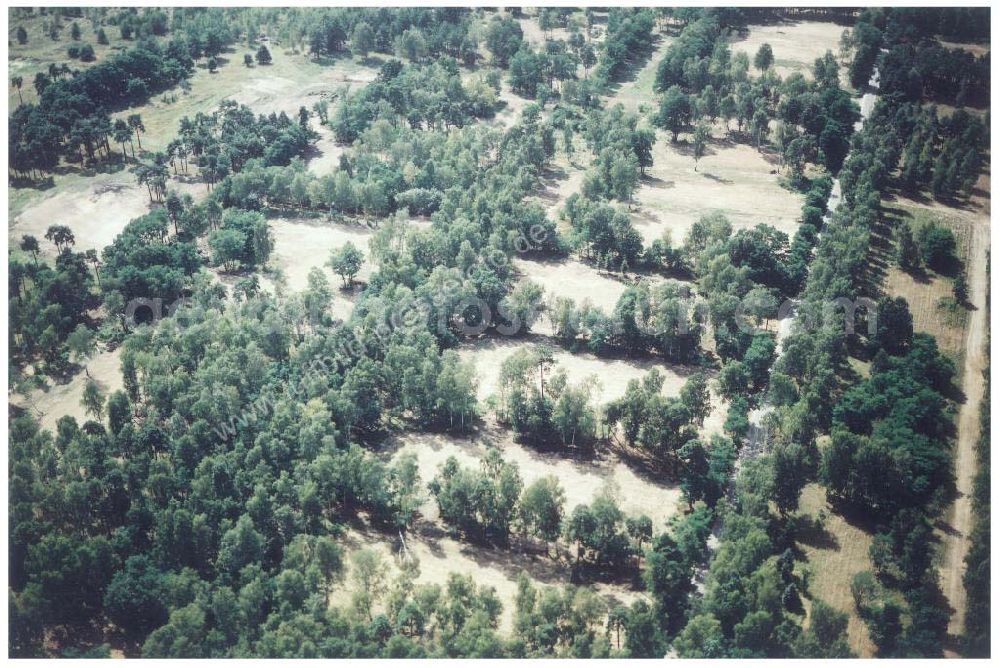 Drachhausen / Brandenburg from the bird's eye view: Re- naturiertes, ehemaliges Kasernengelände bei Drachhausen in Brandenburg. Renaturierungsfläche der Brandenburgischen Boden GmbH.