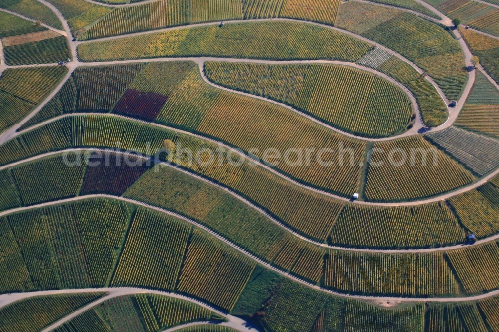 Aerial image Schallstadt - Vineyard Sonnenberg with structures of the roads to grow the vine of Baden in Schallstadt and Ebringen in the state Baden-Wuerttemberg, Germany