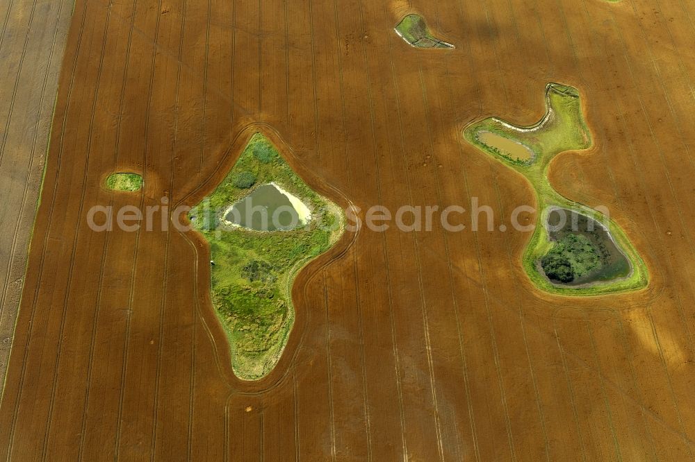 Damshagen from above - Ripe grain-field structures at Damshagen in Mecklenburg-Western Pomerania